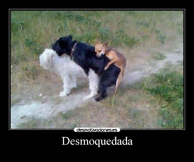 Desmoquedada -