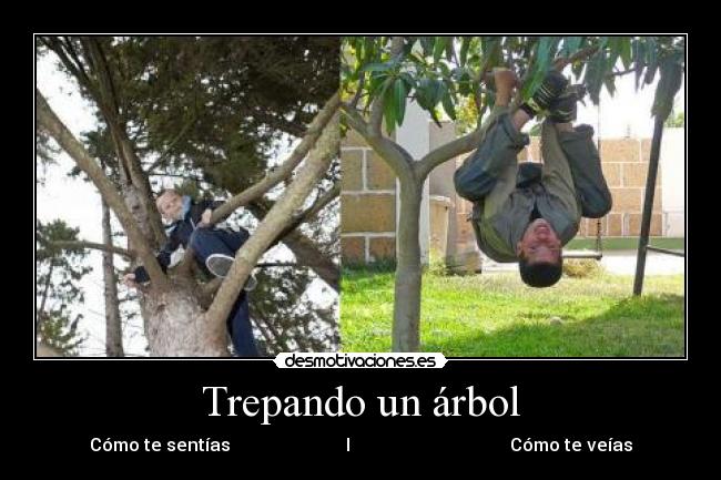 carteles trepar solo arboles crislang nino infancia desmotivaciones