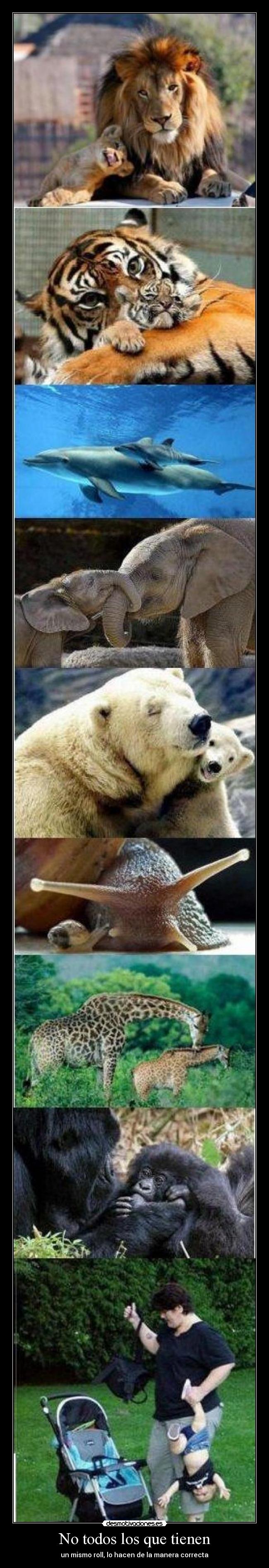 No todos los que tienen -