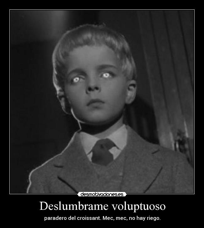 Deslumbrame voluptuoso -