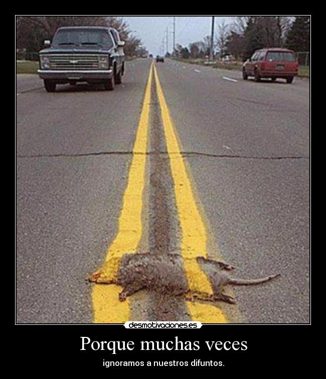 Porque muchas veces - 