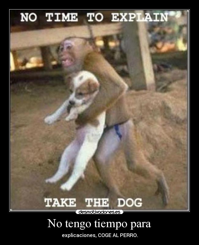 No tengo tiempo para - explicaciones, COGE AL PERRO.