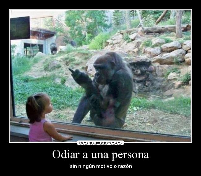 Odiar a una persona - sin ningún motivo o razón