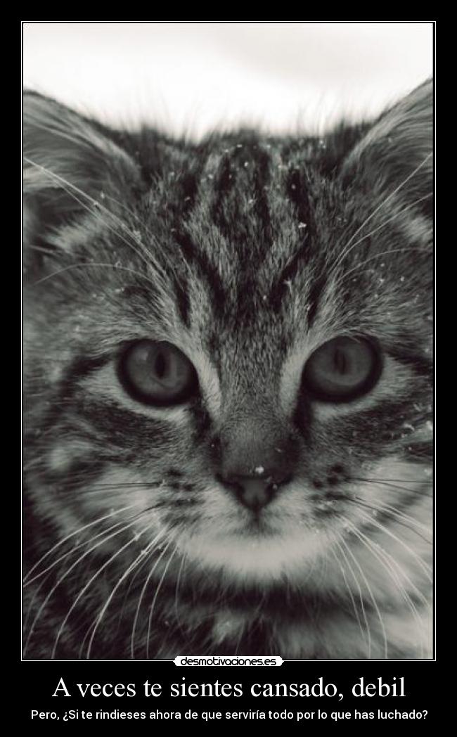 carteles elclanviral water perfil todos carteles con agua desmotivaciones