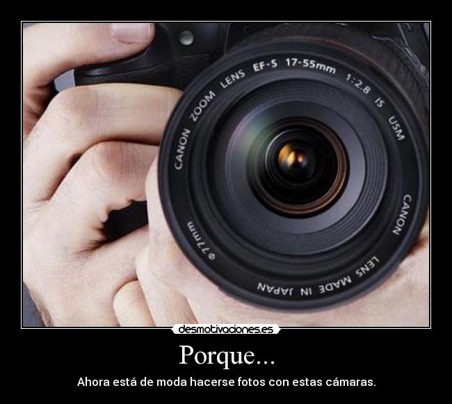 Porque... - Ahora está de moda hacerse fotos con estas cámaras.