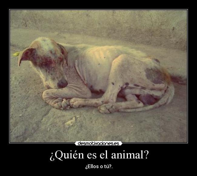 ¿Quién es el animal? - ¿Ellos o tú?.