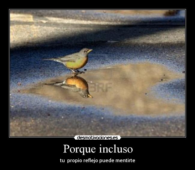 Porque incluso - tu propio reflejo puede mentirte