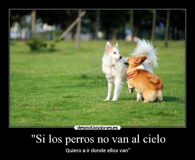 Si los perros no van al cielo - Quiero a ir donde ellos van