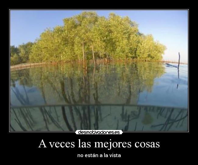 A veces las mejores cosas - 