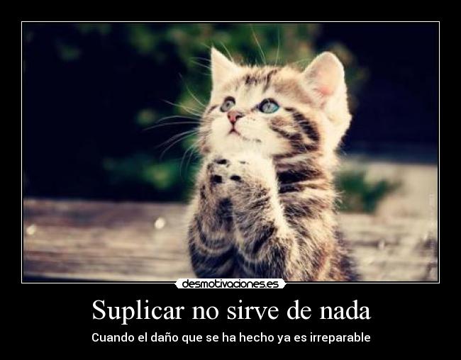 Suplicar no sirve de nada - Cuando el daño que se ha hecho ya es irreparable