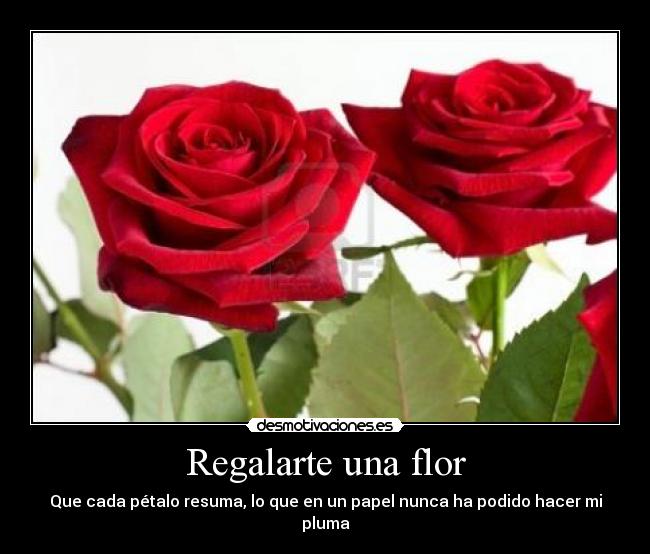 Regalarte una flor - Que cada pétalo resuma, lo que en un papel nunca ha podido hacer mi pluma