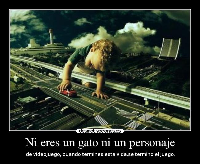 Ni eres un gato ni un personaje -