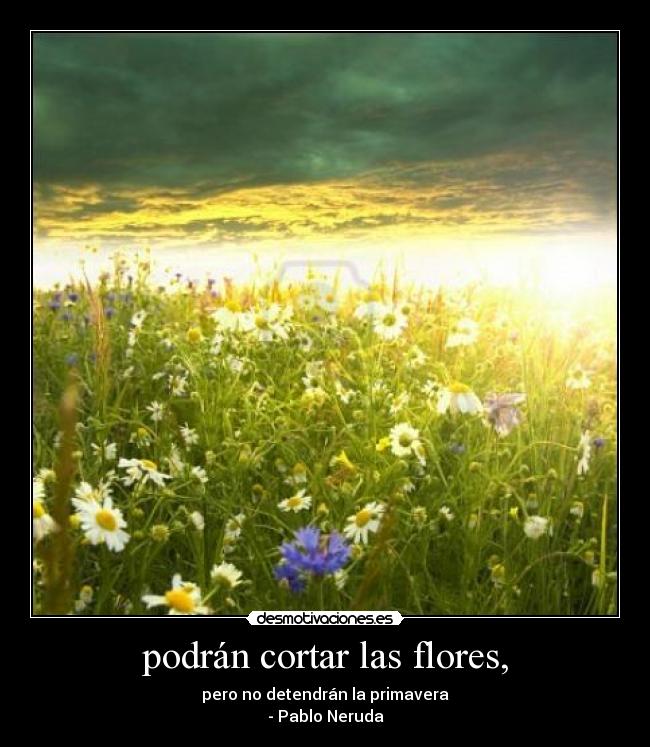 carteles palo neruda primavera flores desmotivaciones