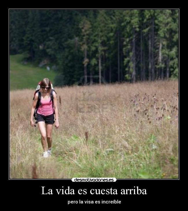 carteles vida alanhoss desmotivaciones