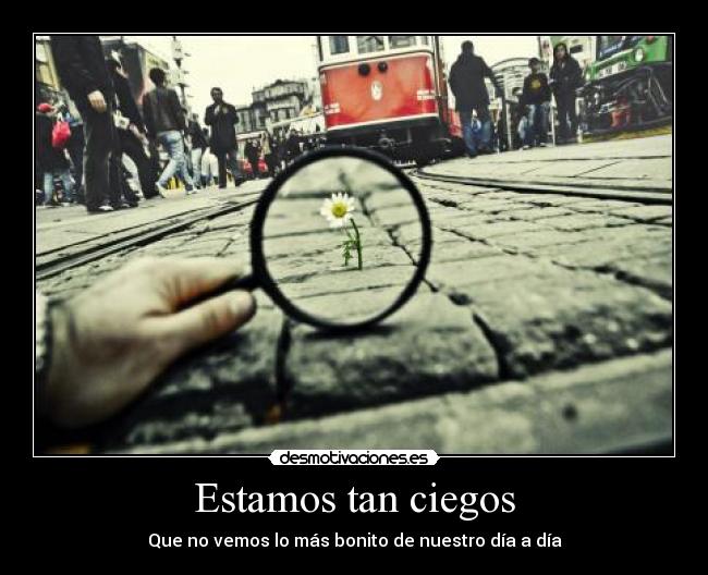 Estamos tan ciegos -