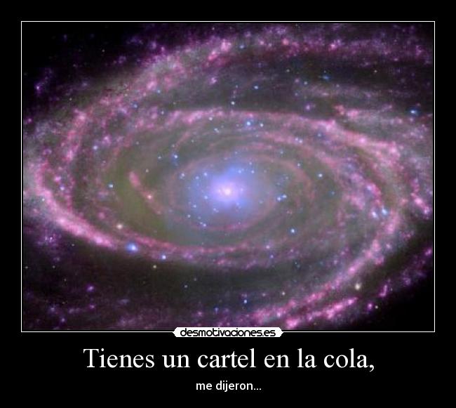 Tienes un cartel en la cola, -