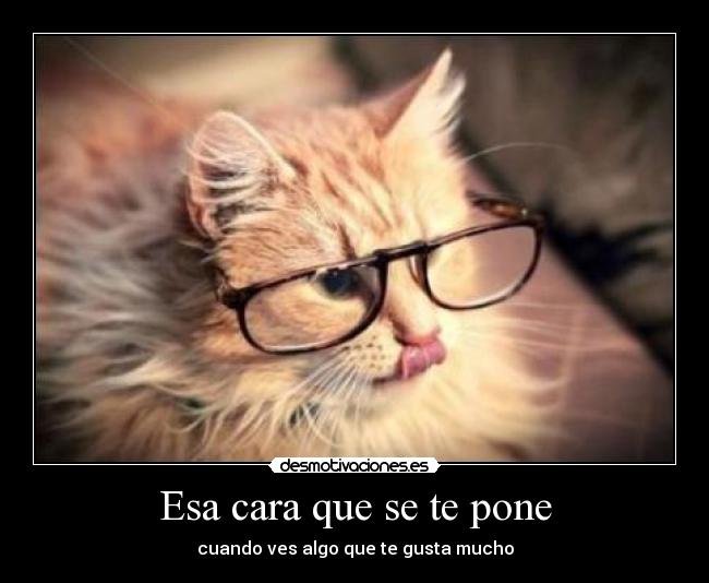 carteles carmenmp desmotivaciones