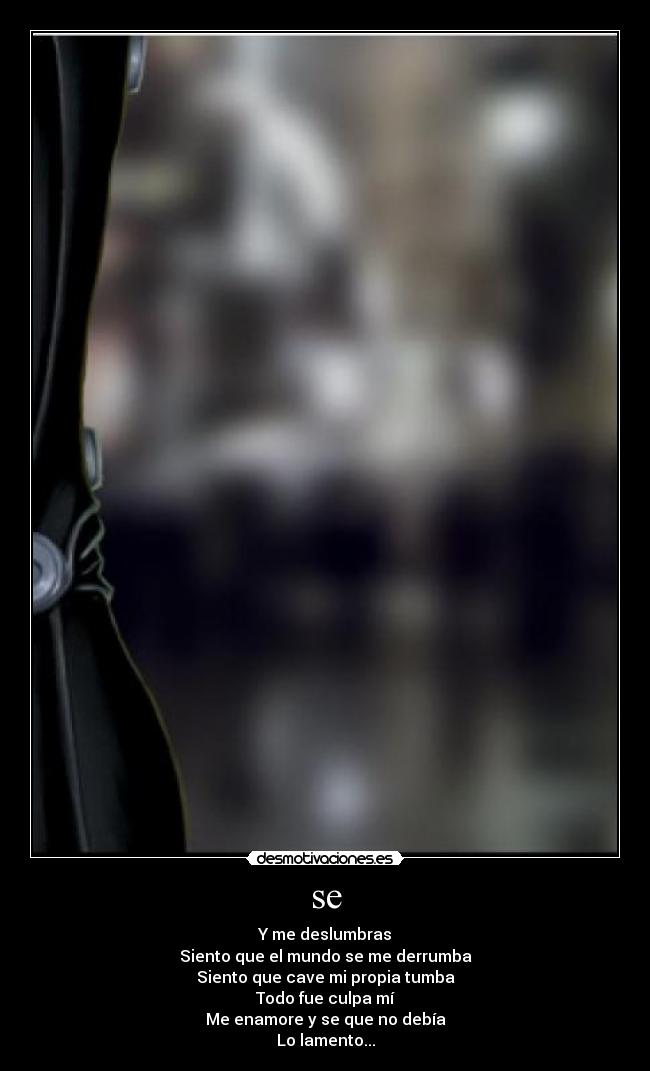 se - Y me deslumbras
Siento que el mundo se me derrumba
Siento que cave mi propia tumba
Todo fue culpa mí
Me enamore y se que no debía
Lo lamento...