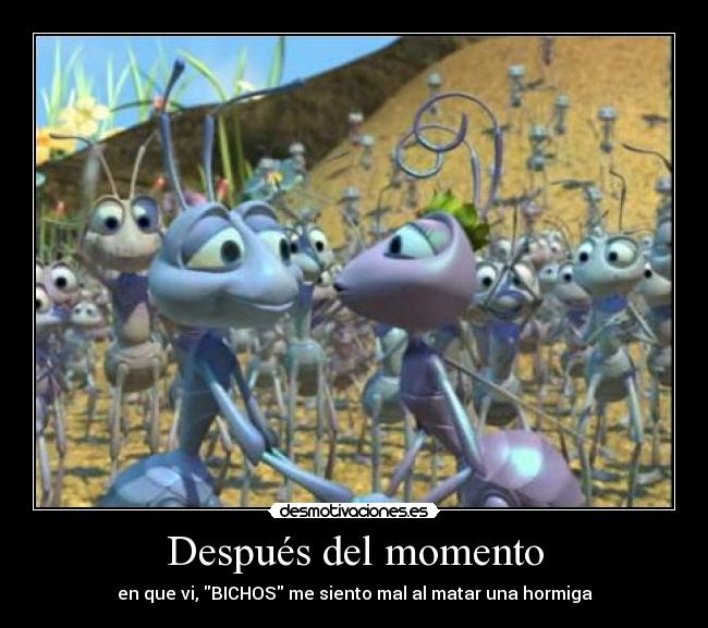 Después del momento - en que vi, BICHOS me siento mal al matar una hormiga