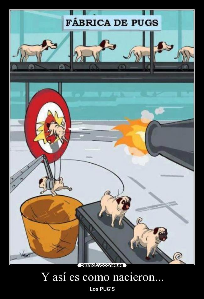 Y así es como nacieron... - Los PUGS