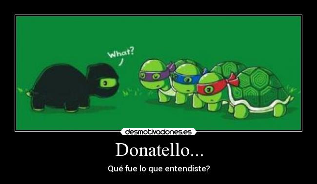 Donatello... - Qué fue lo que entendiste?