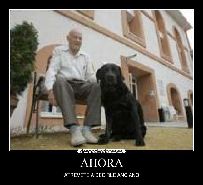 carteles jaja desmotivaciones