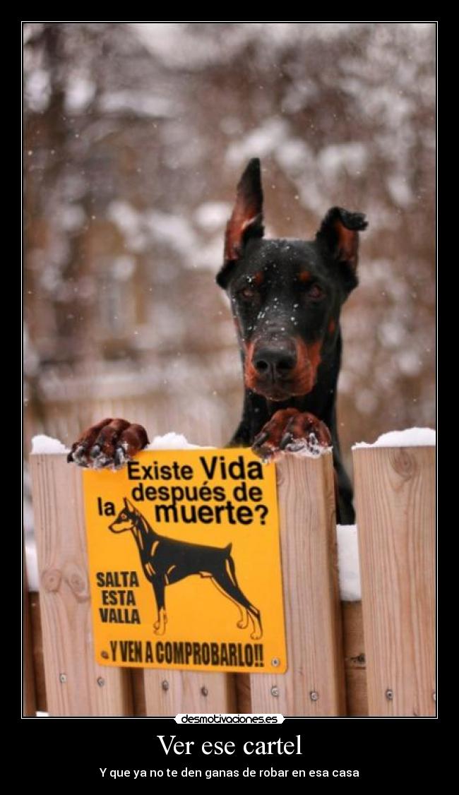Ver ese cartel - 