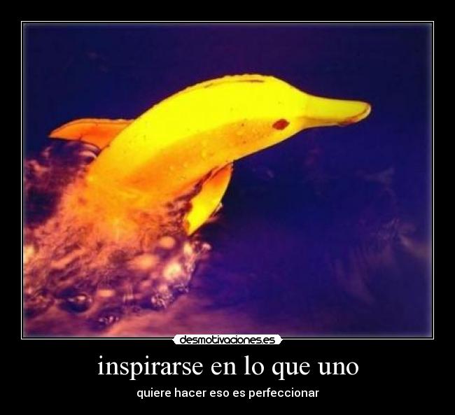 carteles sii desmotivaciones