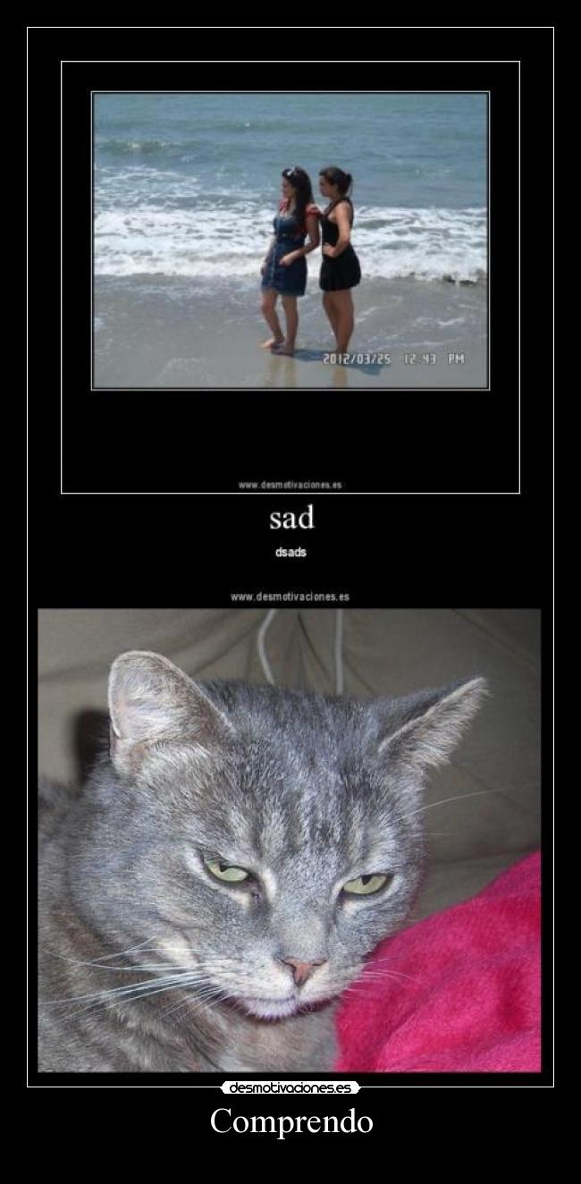 carteles motiva amar challengeacceptedd desmotivaciones