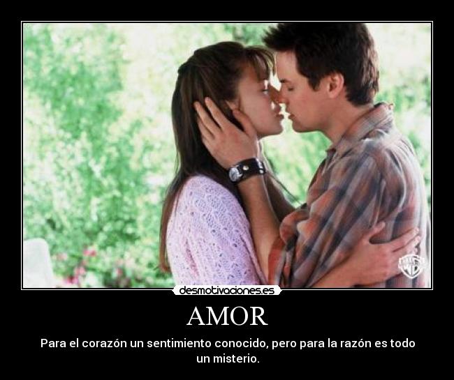 carteles amor fanyavril desmotivaciones