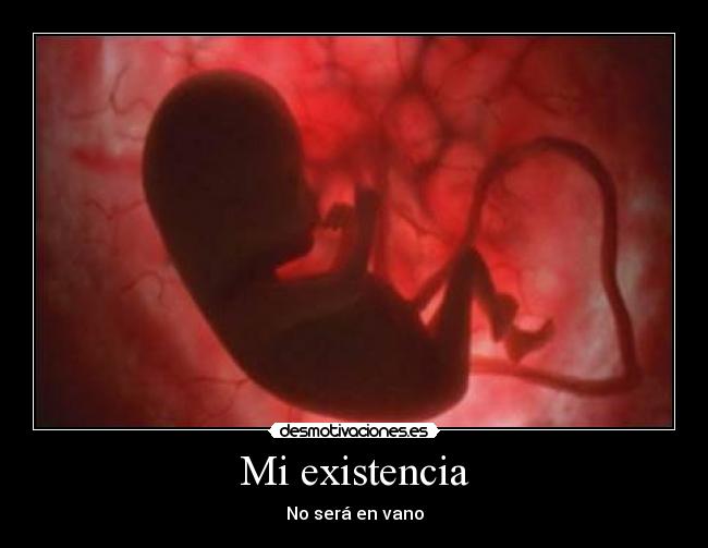 Mi existencia - No será en vano
