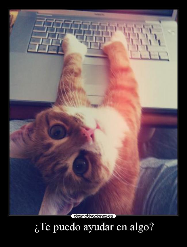 ¿Te puedo ayudar en algo? -