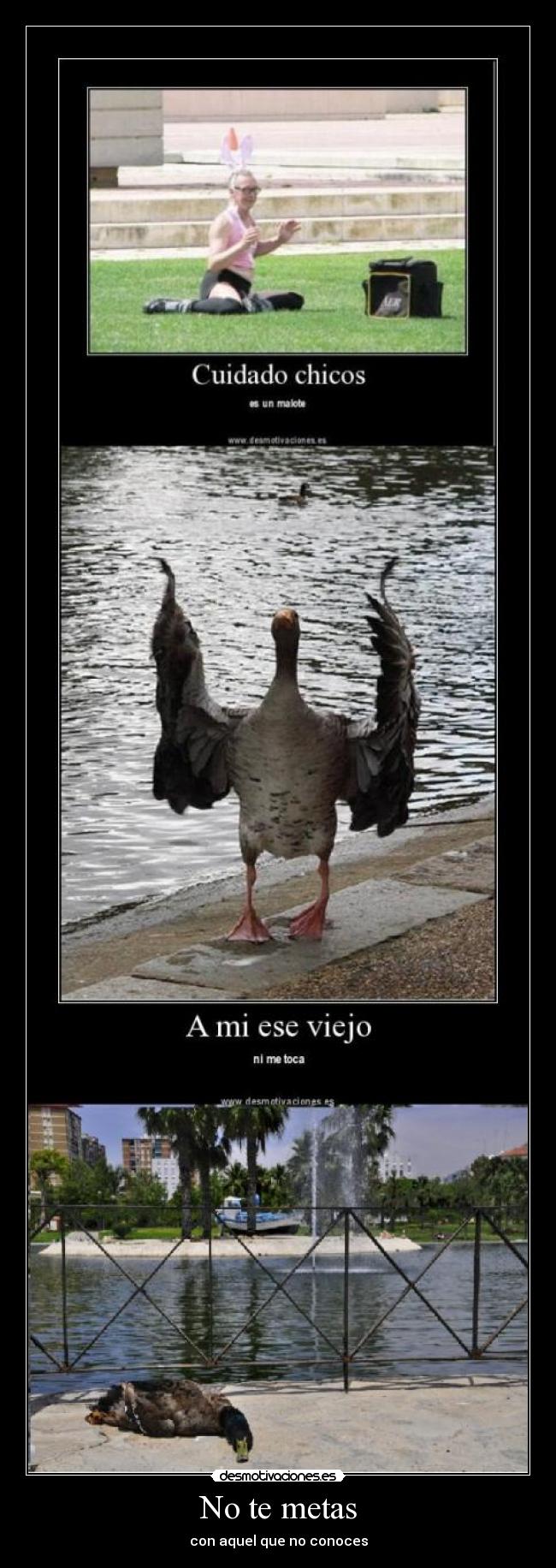 carteles crazyclub varracas los patos son polla ese viejo parte pana desmotivaciones