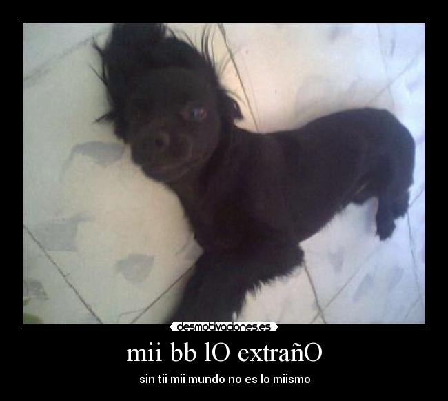 mii bb lO extrañO -