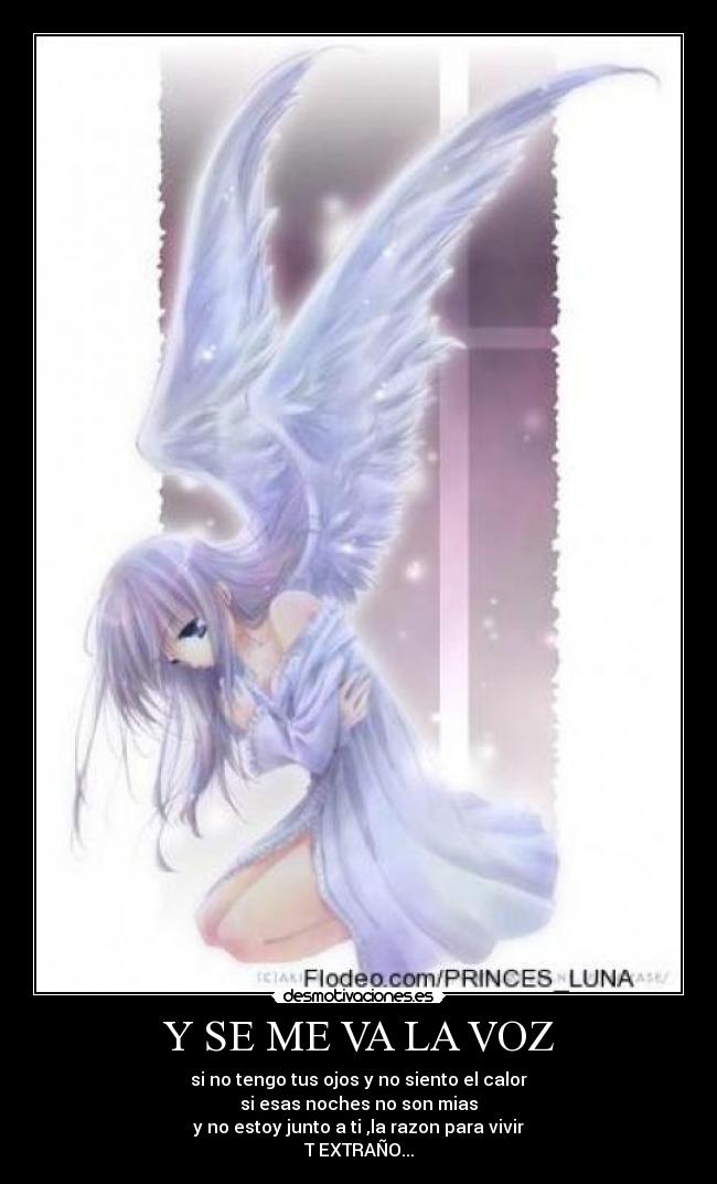 Y SE ME VA LA VOZ - si no tengo tus ojos y no siento el calor
si esas noches no son mias
y no estoy junto a ti ,la razon para vivir
T EXTRAÑO...