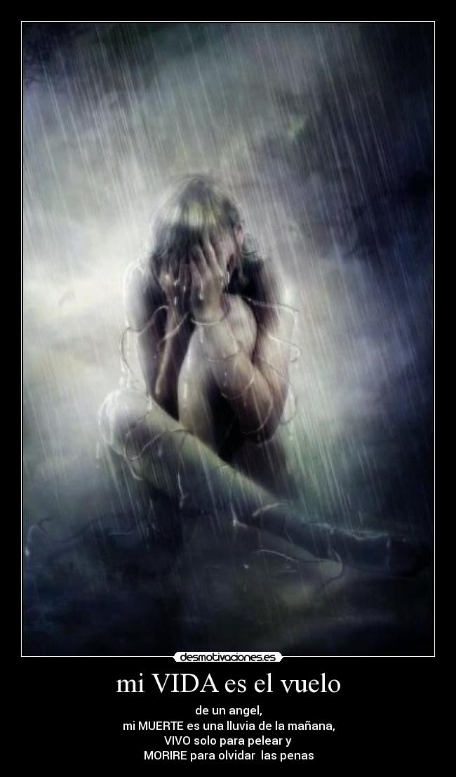 mi VIDA es el vuelo - de un angel,
mi MUERTE es una lluvia de la mañana,
VIVO solo para pelear y
MORIRE para olvidar las penas