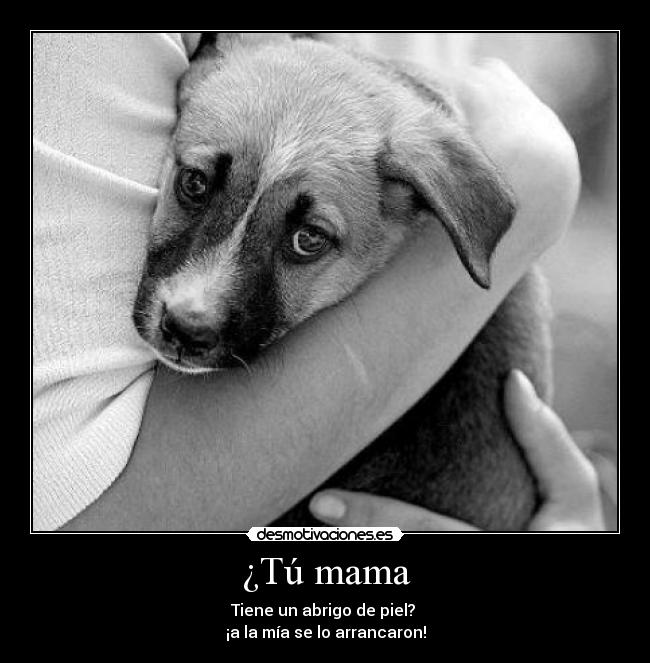 carteles sawglam94 tortura matanza perros china desmotivaciones