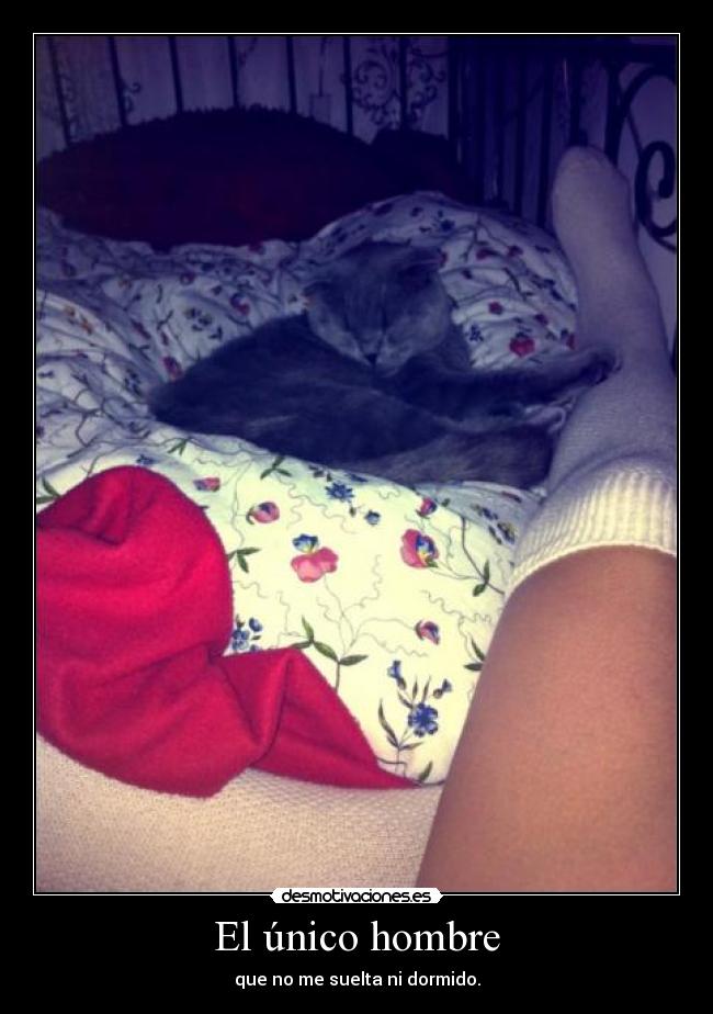 carteles senor las desmotivaciones desmotivaciones