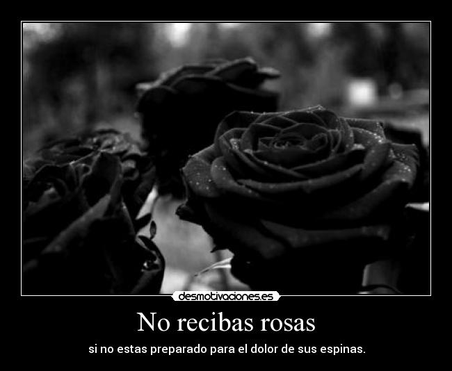 No recibas rosas - si no estas preparado para el dolor de sus espinas.