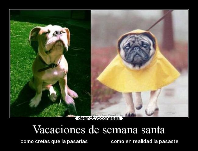 Vacaciones de semana santa - como creías que la pasarías                   como en realidad la pasaste