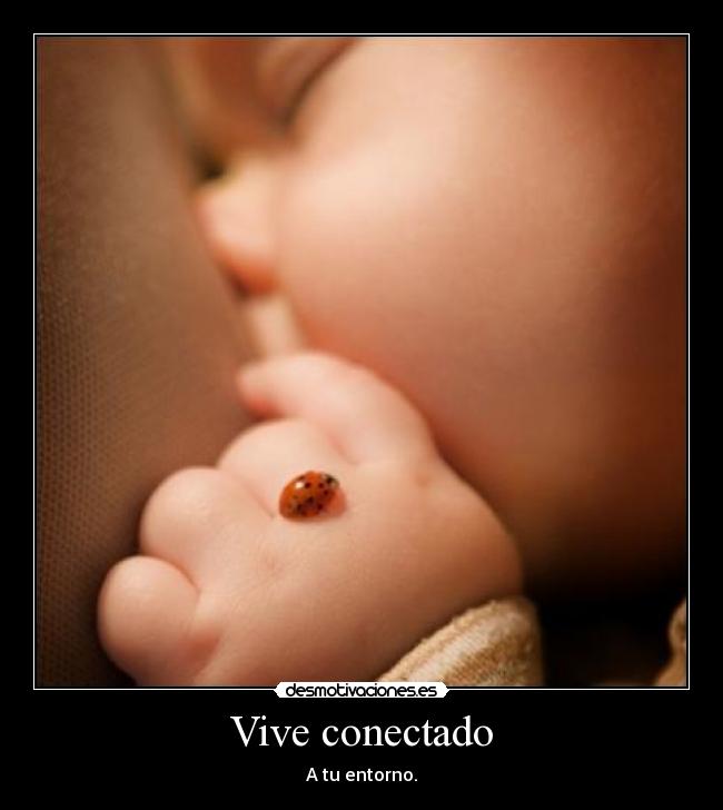 Vive conectado - A tu entorno.