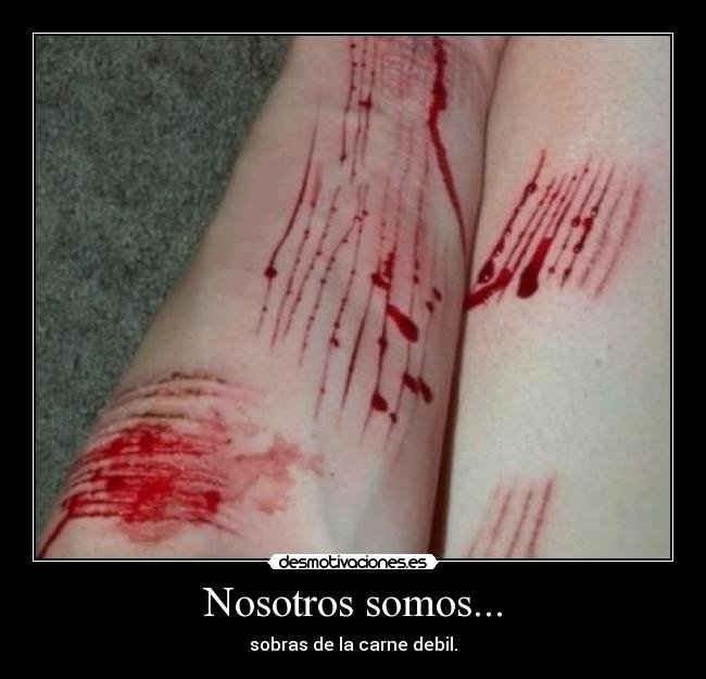 Nosotros somos... - sobras de la carne debil.