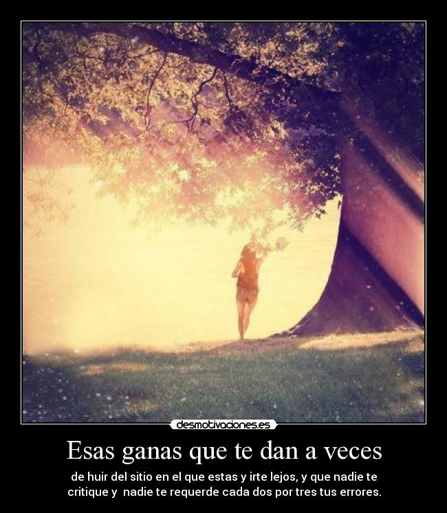 carteles sabes desmotivaciones