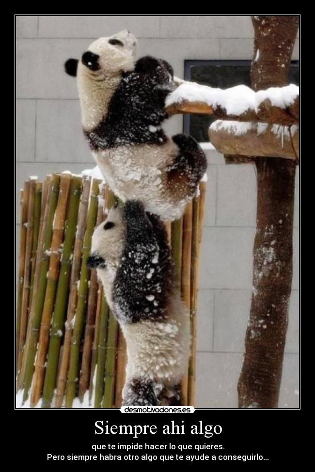 Siempre ahi algo - que te impide hacer lo que quieres.
Pero siempre habra otro algo que te ayude a conseguirlo...