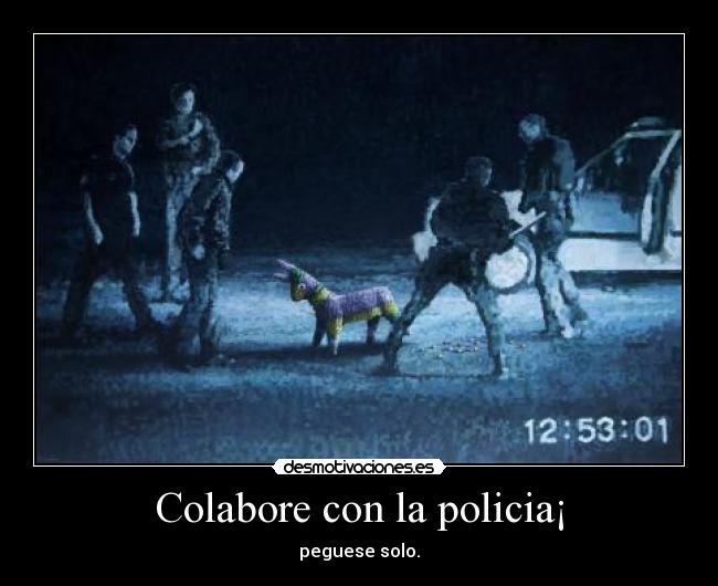 Colabore con la policia¡ - peguese solo.