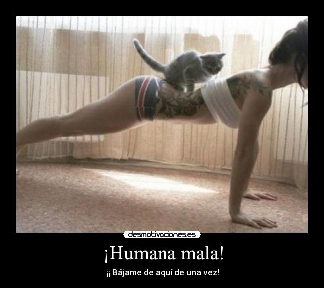 ¡Humana mala! - ¡¡ Bájame de aquí de una vez!