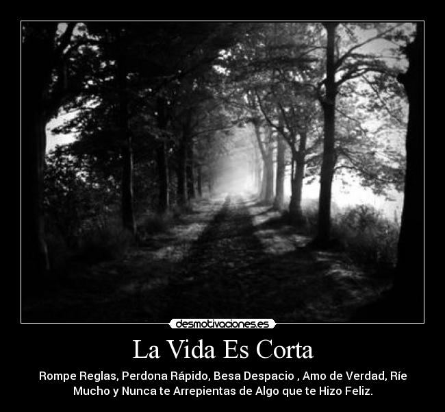 La Vida Es Corta - Rompe Reglas, Perdona Rápido, Besa Despacio , Amo de Verdad, Ríe
Mucho y Nunca te Arrepientas de Algo que te Hizo Feliz.