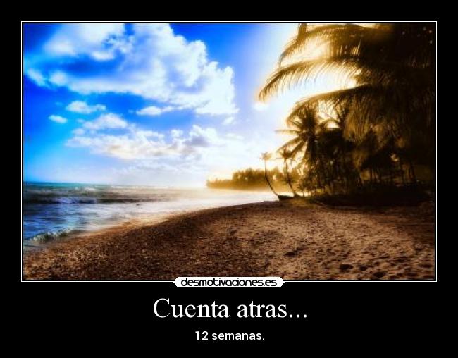 Cuenta atras... - 12 semanas.