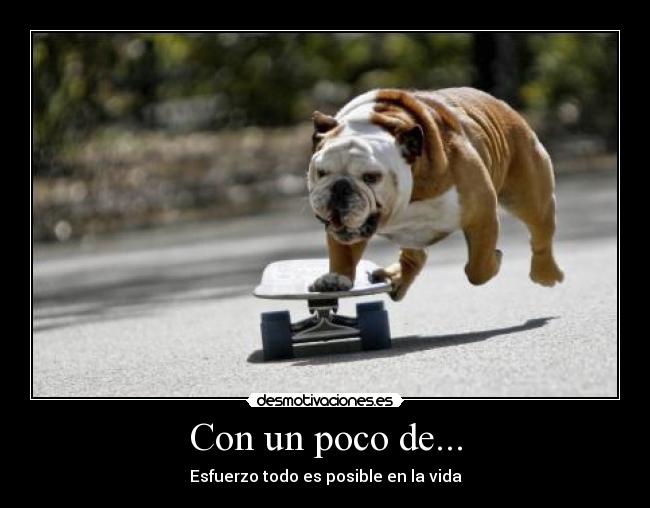 Con un poco de... - Esfuerzo todo es posible en la vida