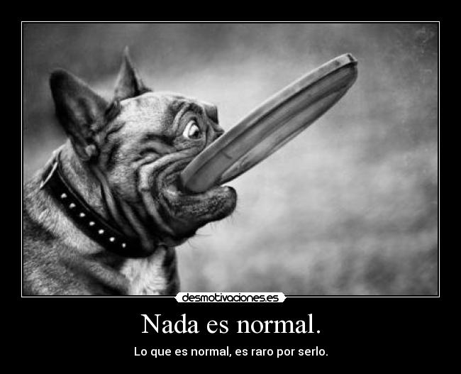 Nada es normal. -